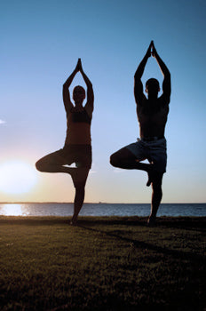 The Practice of Yoga • Yoga Basics: Yoga Poses, Meditation, History,  Philosophy & More