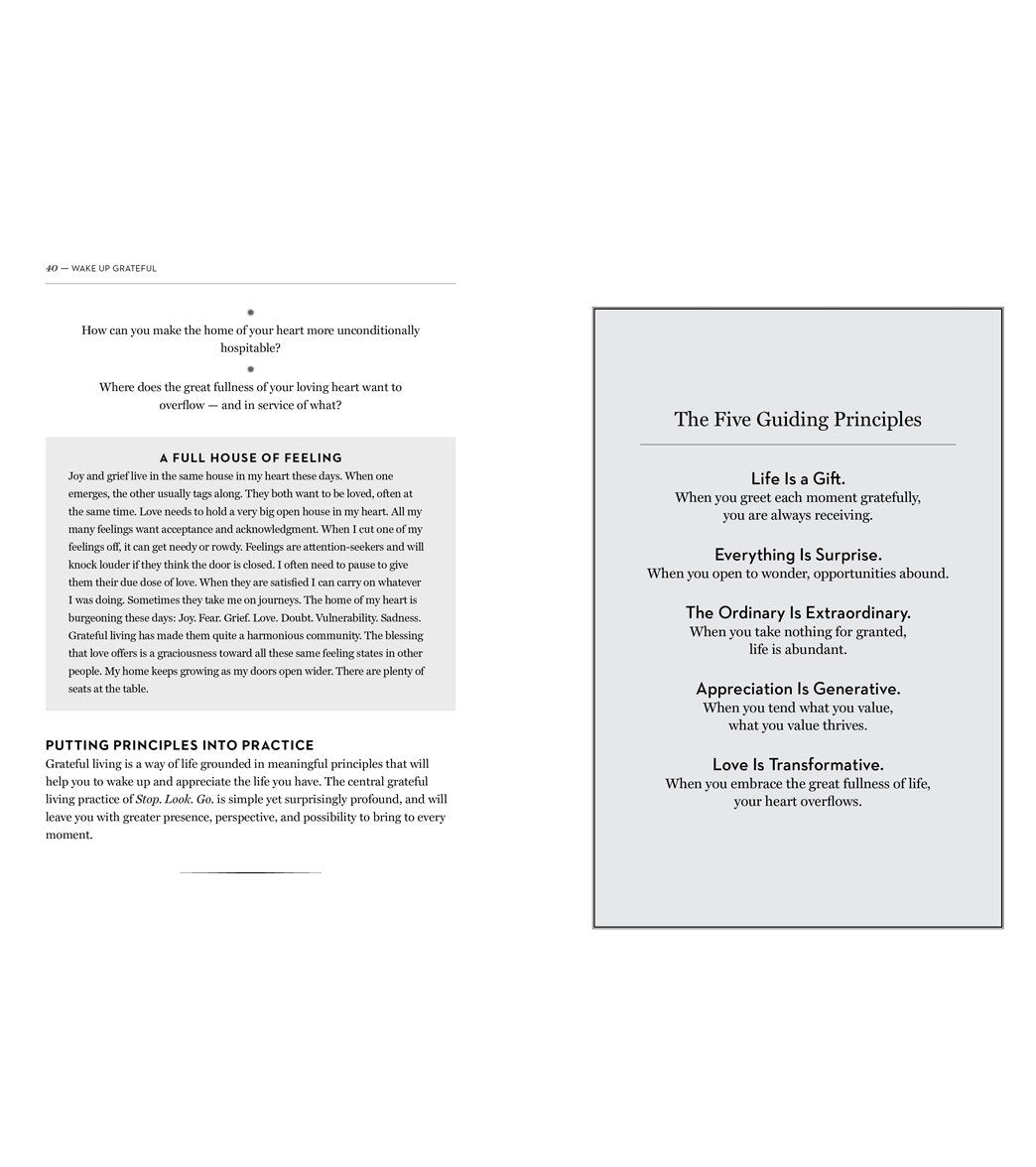 Workman Publishing The Mindfulness Creativity Coloring Book: Anti-Stress  Guided Activities in Drawing, Lettering, and Patterns at